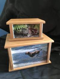 NZ Rosewood Photo Boxes